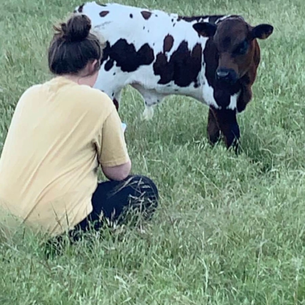 Meet your Posher, Morgan